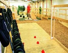 e-werk - Der Segway-Park in Hessen